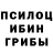 Галлюциногенные грибы мухоморы Alpha Production