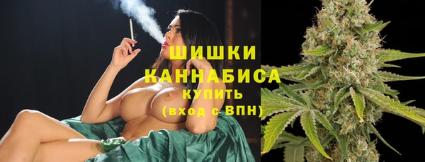 спайс Горняк