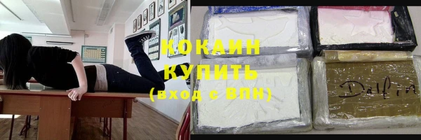 эйфоретик Тайга
