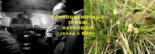 jwh Сясьстрой