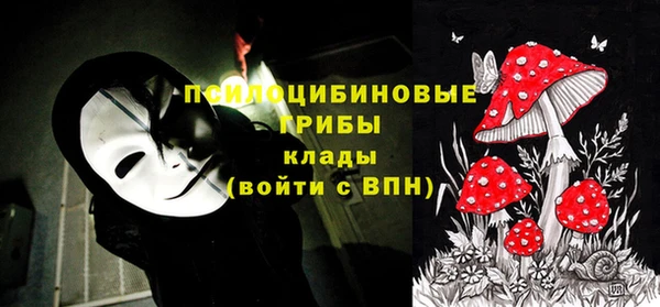 Альфа ПВП Горнозаводск