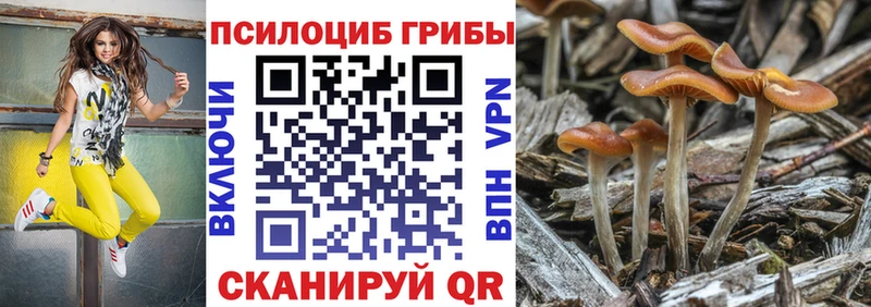 Галлюциногенные грибы Psilocybine cubensis Инсар